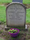 image of grave number 954380